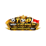 webcadobongdadev is swapping clothes online from 